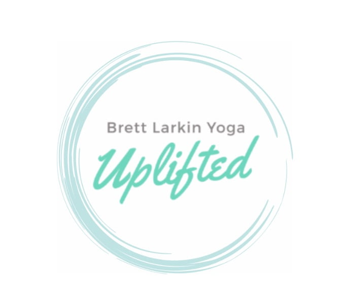 brett larkin logo pic