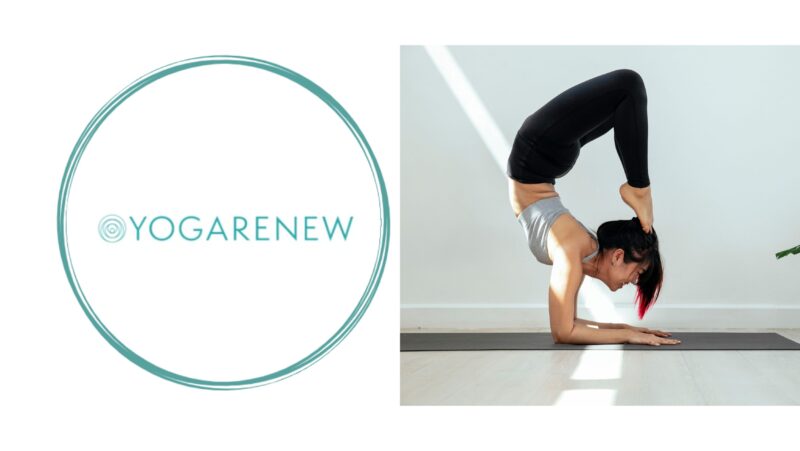 YogaRenew Online Teacher Training Review: Here's My Take 1 YogaRenew-Online-Yoga-Teacher-Training-Course-Review