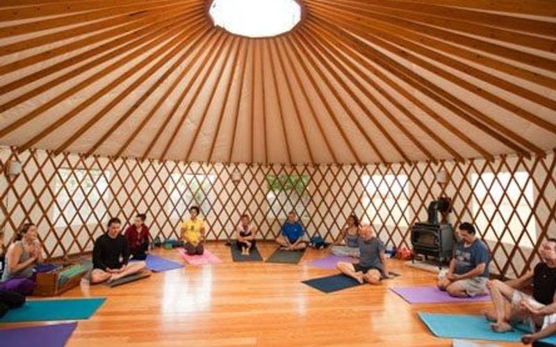 10 Best Online Yoga Retreats: Discover Virtual Bliss 39 3-Day Online Sivananda Hatha Yoga, Meditation, and Essential Oils Retreat