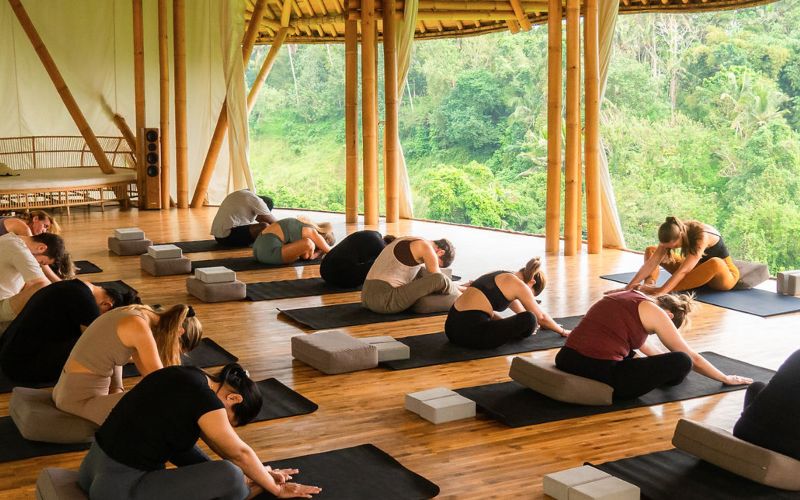 Yoga Classes 3 Online 80-Hour Yin Yoga Teacher Training By Akasha Yoga Academy