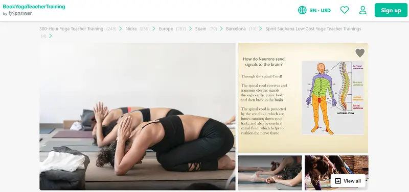 10 Best Online 300 Hour Yoga Teacher Training Certifications 32 300 hour online yoga teacher training by spirit sadhana