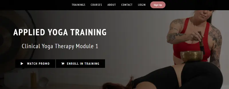 5 Best Online Yoga Therapy Training Certification Courses 5 clinical yoga therapy by my vinyasa practice