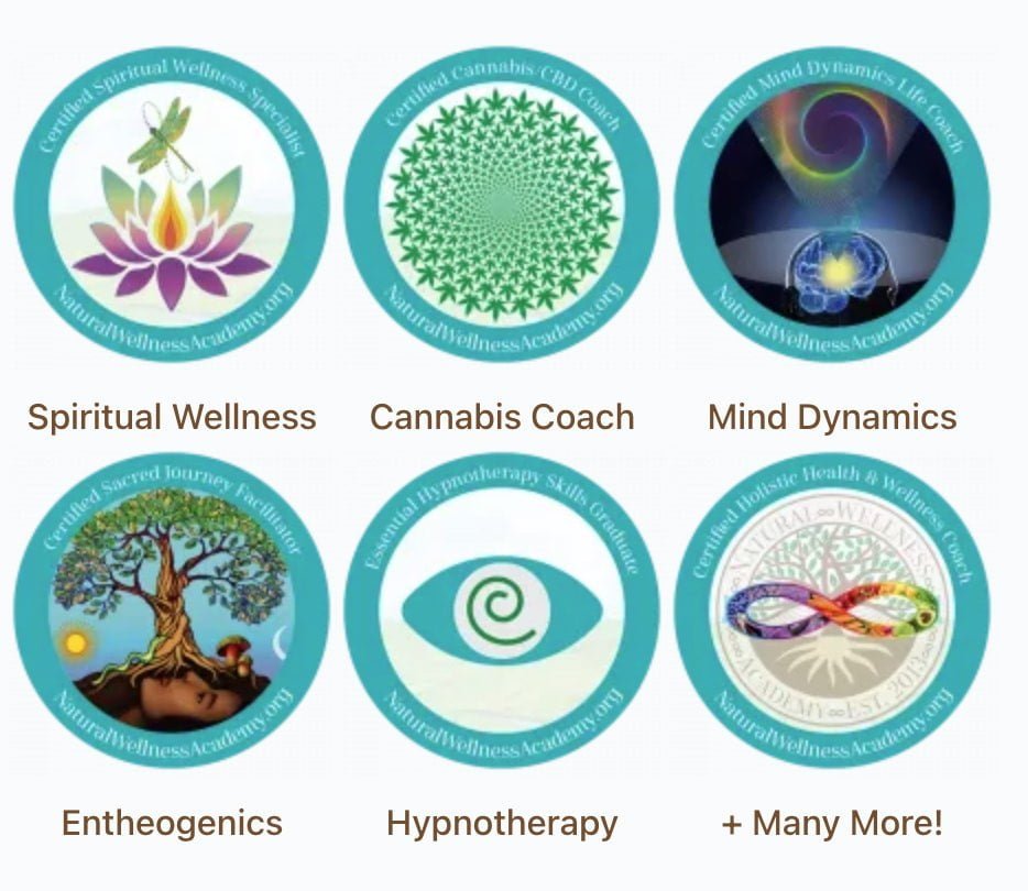 10 Best Meditation Teacher Training Online Certifications 22 many different modules and courses