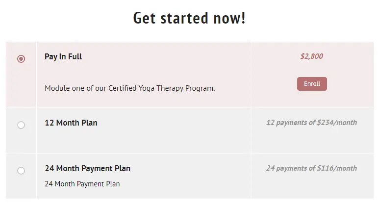 5 Best Online Yoga Therapy Training Certification Courses 6 my vinyasa practice online course prices