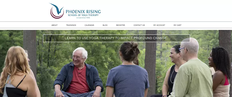 5 Best Online Yoga Therapy Training Certification Courses 13 phoenix rising yoga therapy