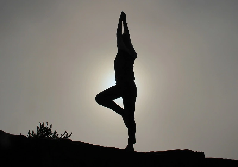 5 Best 500 Hour Yoga Teacher Training Online: Advanced TTC 15 radiant warrior yoga students review