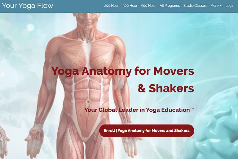 10 Best Online Yoga Anatomy Courses For In-Depth Learning 13 25 hours yoga anatomy for movers & shakers by youryogaflowonline