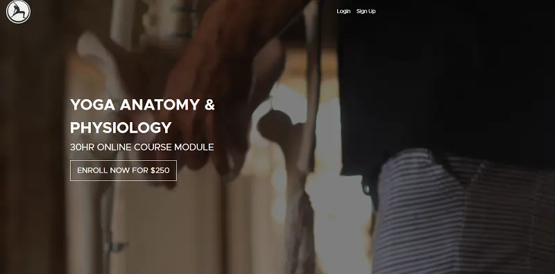 10 Best Online Yoga Anatomy Courses For In-Depth Learning 35 30 hour yoga anatomy and physiology by peaceful warriors yoga