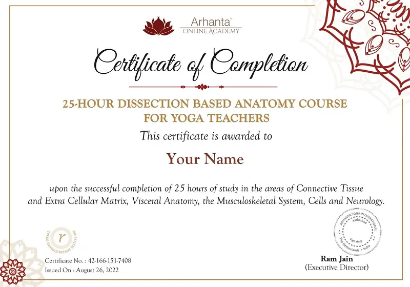 10 Best Online Yoga Anatomy Courses For In-Depth Learning 26 Dissection Based Anatomy certificate