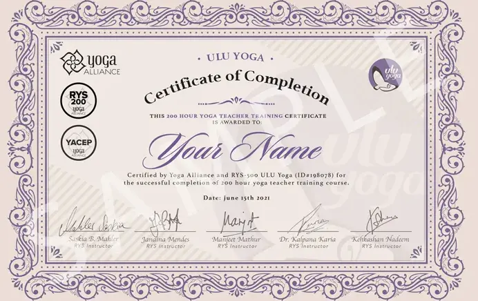 10 Best Online Yoga Anatomy Courses For In-Depth Learning 12 ULU Yoga Certificate