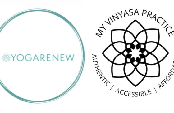 YogaRenew vs. My Vinyasa Practice Online YTTC Review, What is Better? 7