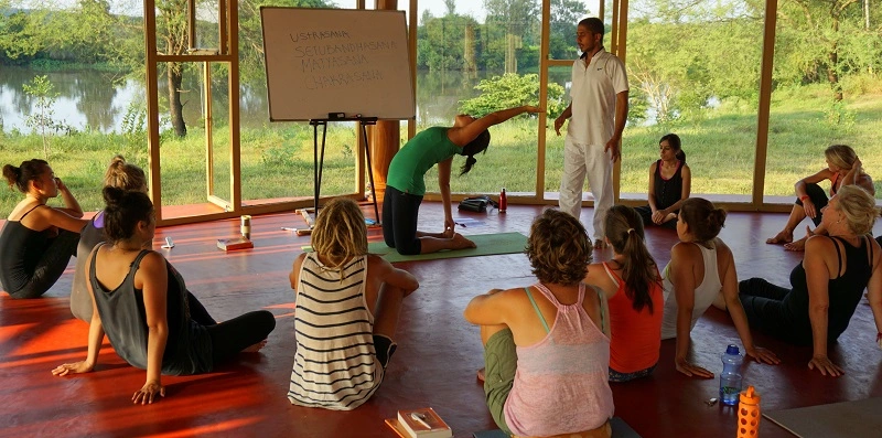 10 Best Online Yoga Anatomy Courses For In-Depth Learning 3 why is knowing anatomy important for yoga teachers