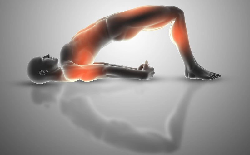 10 Best Online Yoga Anatomy Courses For In-Depth Learning 14 yoga anatomy for movers & shakers by your yoga flowo nline