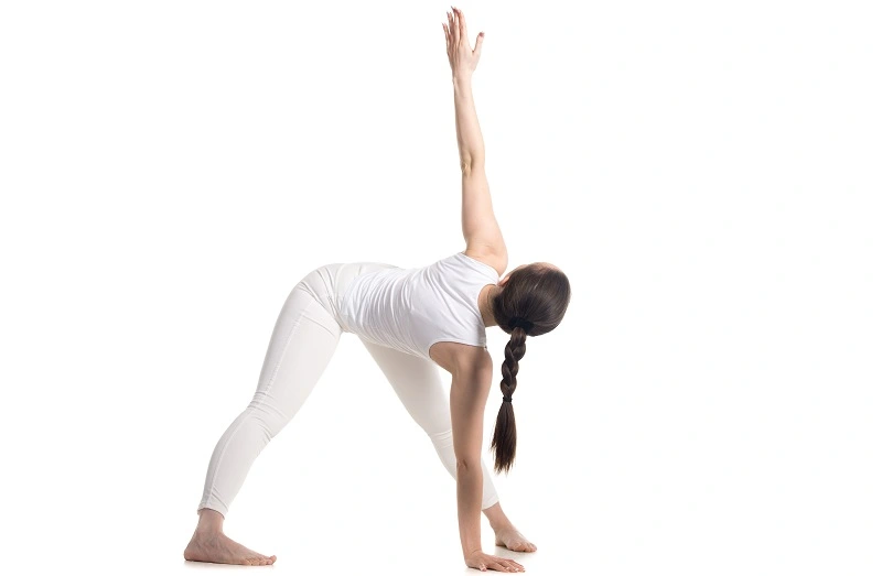 10 Best Online Yoga Anatomy Courses For In-Depth Learning 21 yoga anatomy online course by doctor yogi