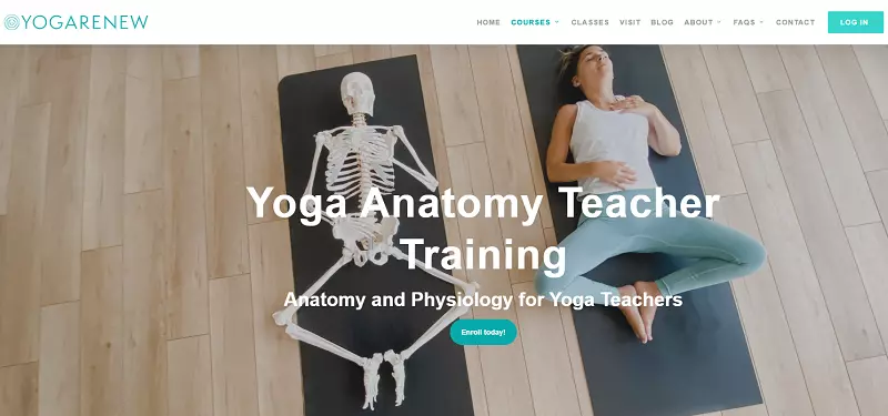 10 Best Online Yoga Anatomy Courses For In-Depth Learning 27 yoga anatomy teacher training by yoga renew