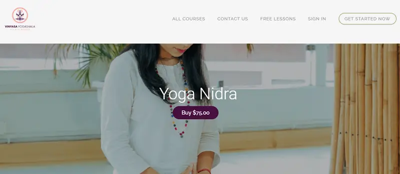 9 Best Online Yoga Nidra Teacher Training Courses 16 yoga nidra training by vinyasa yogashala