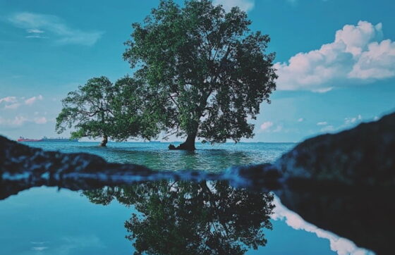 As Above So Below Meaning, What This Cryptic Saying Actually Is About 2 As Above So Below Meaning