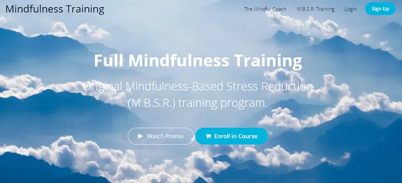 5 Best Mindfulness-Based Stress Reduction Training Programs 7 The Mindful Coach's M.B.S.R. Training